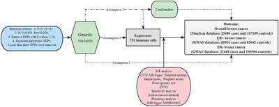 A Mendelian analysis of the relationships between immune cells and breast cancer